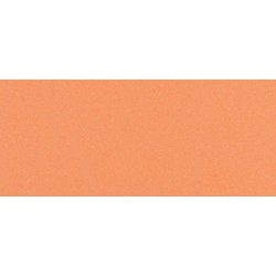 DOSSIER JURA BULLE SAUMON 250G 125 FEUILLES